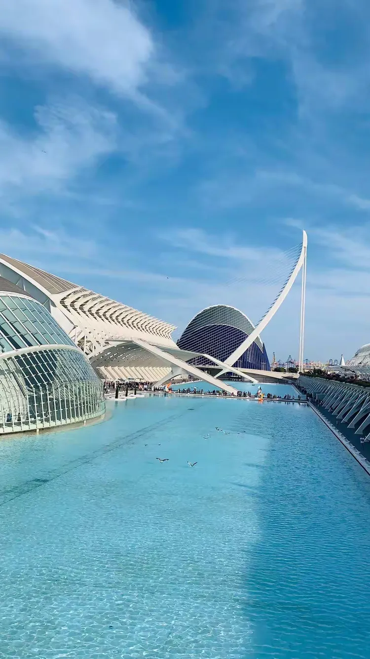 开云手机平台-清晨葡萄牙体育状态回暖瓦伦西亚造点机会，浙江稠州赛前战术微调看傻球迷