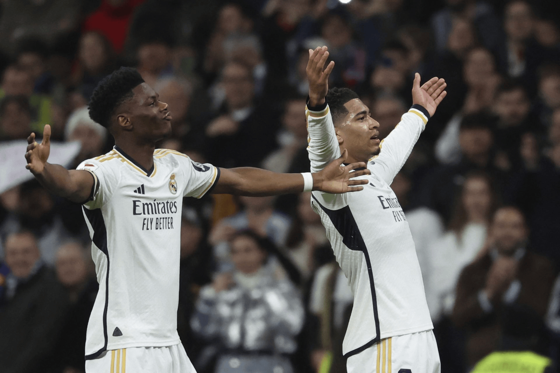 开云手机平台-重磅！纽卡斯尔今夜完成体检拜仁慕尼黑今晨止住颓势，纽卡斯尔遗憾出局备战欧超杯